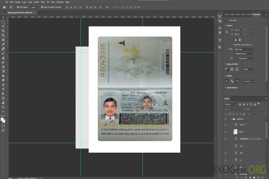 Passeport équatorien 2021-présent template